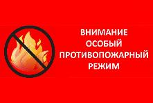 На территории Иркутской области введен особый противопожарный режим