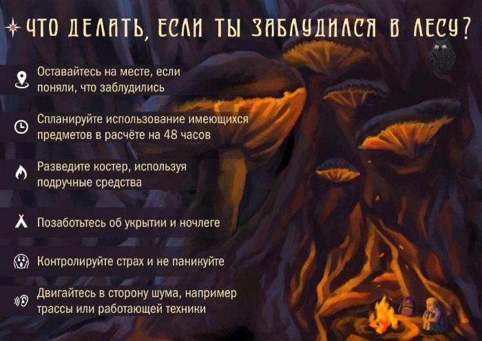 Пожарно-спасательная служба Иркутской области сообщает. Сезон ягод и грибов. Как не заблудиться в лесу.