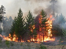Памятка действия населения при угрозе от лесного пожара
