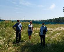 5 августа 2021 года представителями рабочей группы по обследованию мест произрастания наркосодержащих растений проведен профилактический рейд на территории Куйтунского городского поселения.