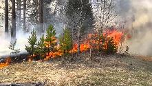 ОГБУ "Пожарно-спасательная служба Иркутской  области": Лесные пожары