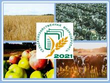 Сельскохозяйственная микроперепись — способ зафиксировать перемены, происходящие в аграрном секторе за последние пять лет.