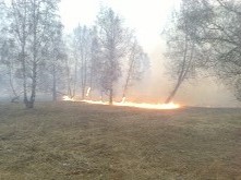 «Сообщает служба 01» Остановим лесные пожары!